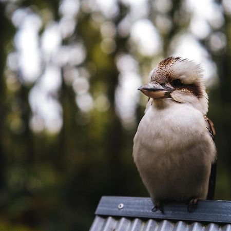 ホテル The Bower At ブルーリー エクステリア 写真